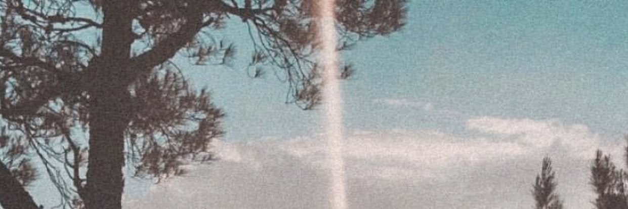 RaraSarasmitha's profile banner image