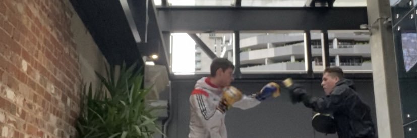 Nik Hemmerling banner