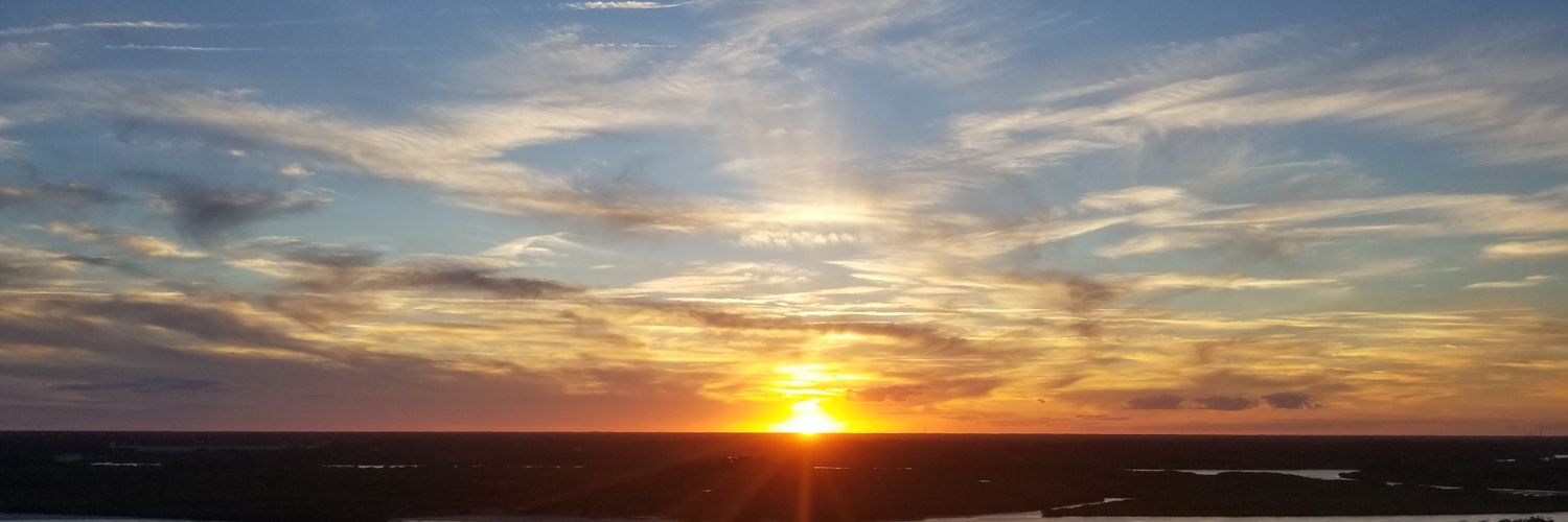reschehines's profile banner image