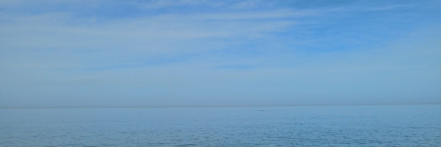 𝓐𝓛𝓟𝓐𝓖𝓤 banner