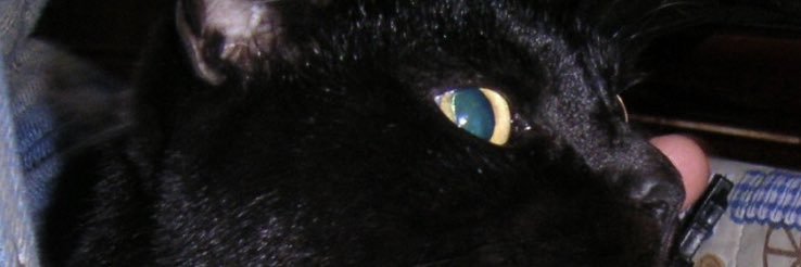 tekchin's profile banner image