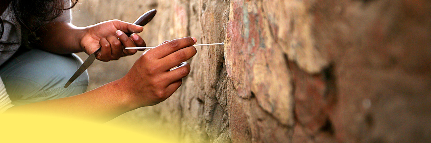 CNRS Sciences humaines & sociales banner