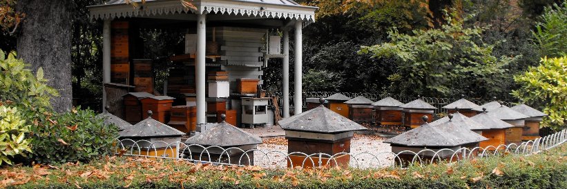 Société Centrale d'Apiculture banner