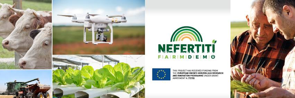 NEFERTITI_EU Profile Banner
