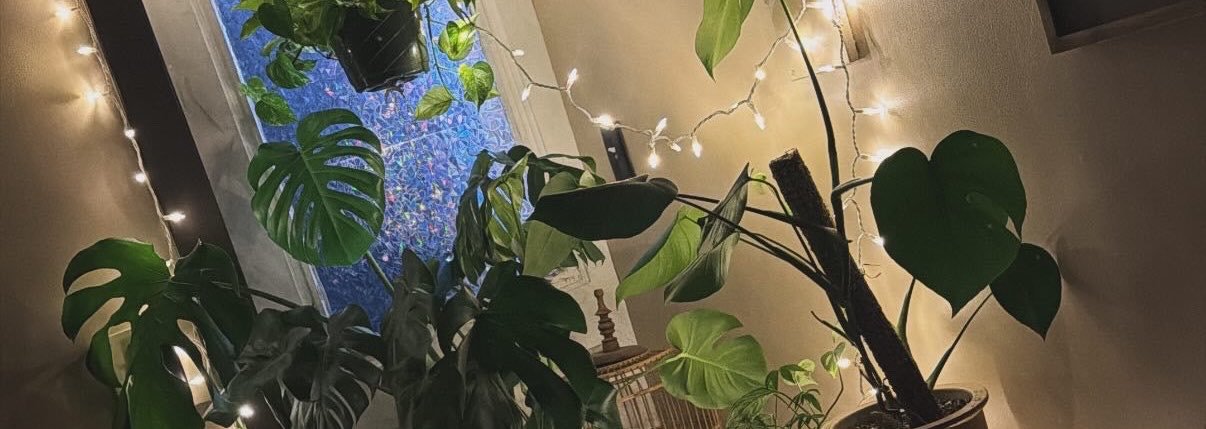 caitlynbearor's profile banner image