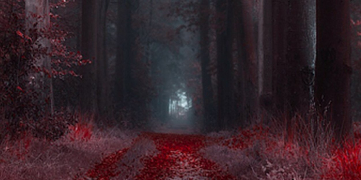 Liz_McCandless's profile banner image