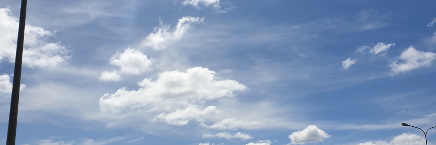 Wallace_Center's profile banner image