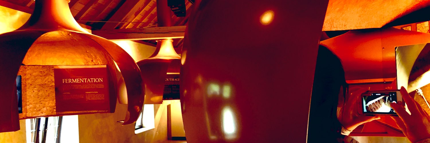 Danton Jay banner