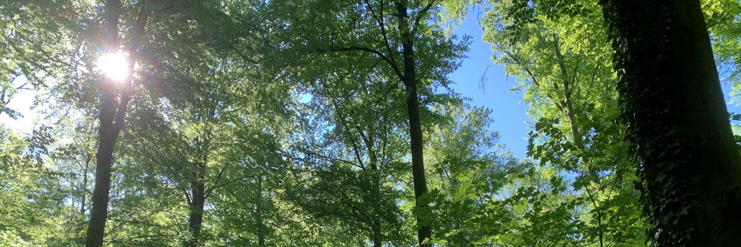 Deutscher Forstwirtschaftsrat (DFWR) banner