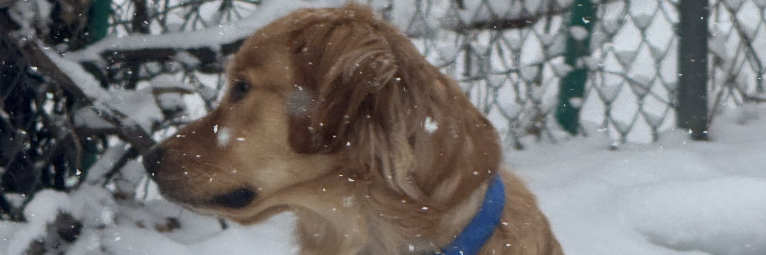 chrisfr22's profile banner image