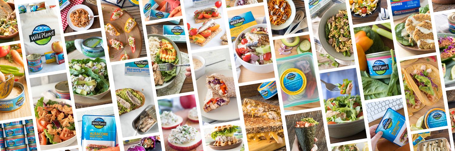 wildplanetfoods's profile banner image