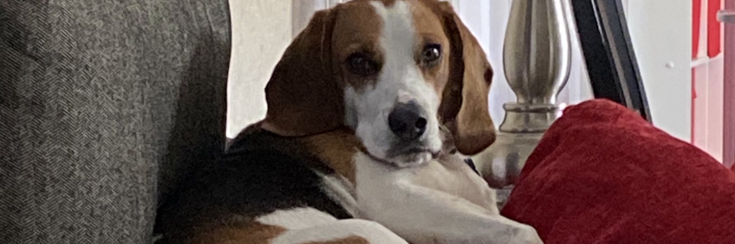 debbieliles4's profile banner image
