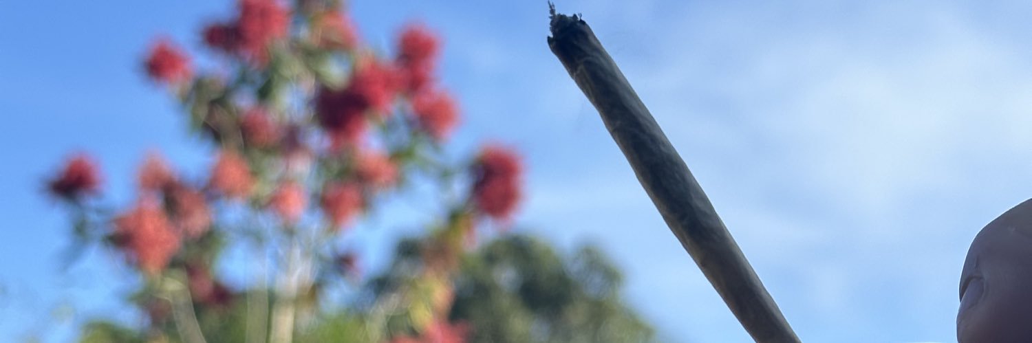 VickRosa660's profile banner image