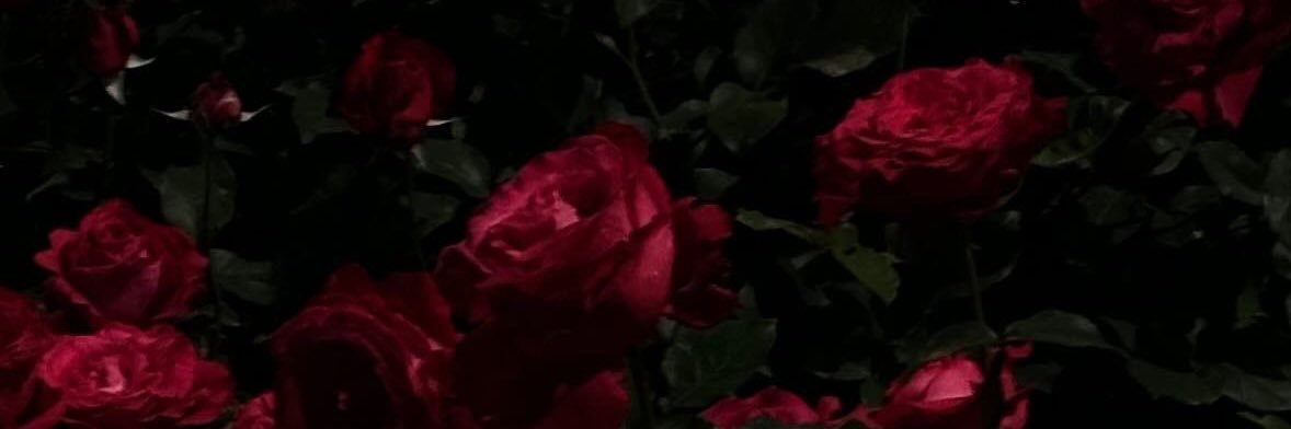 𝙎𝙀𝙐 banner