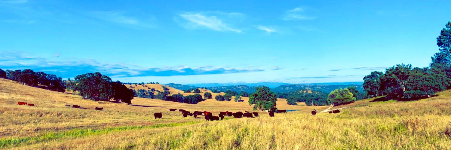 ShyannElizabeth's profile banner image