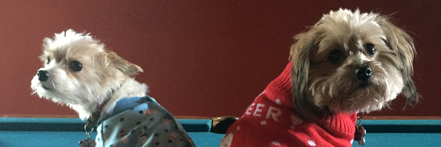 LookNoHannahs's profile banner image