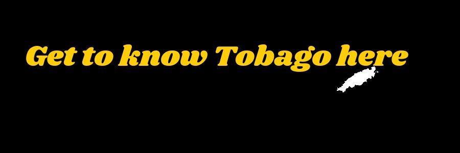 HelloTobago's profile banner image