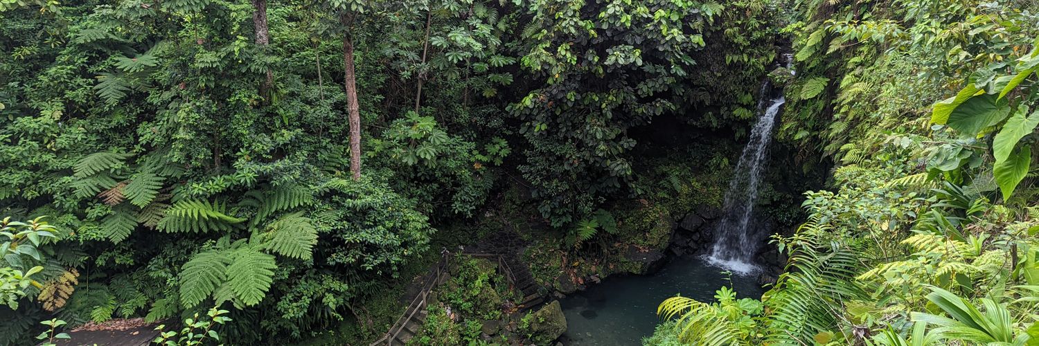 D.S.A.International banner