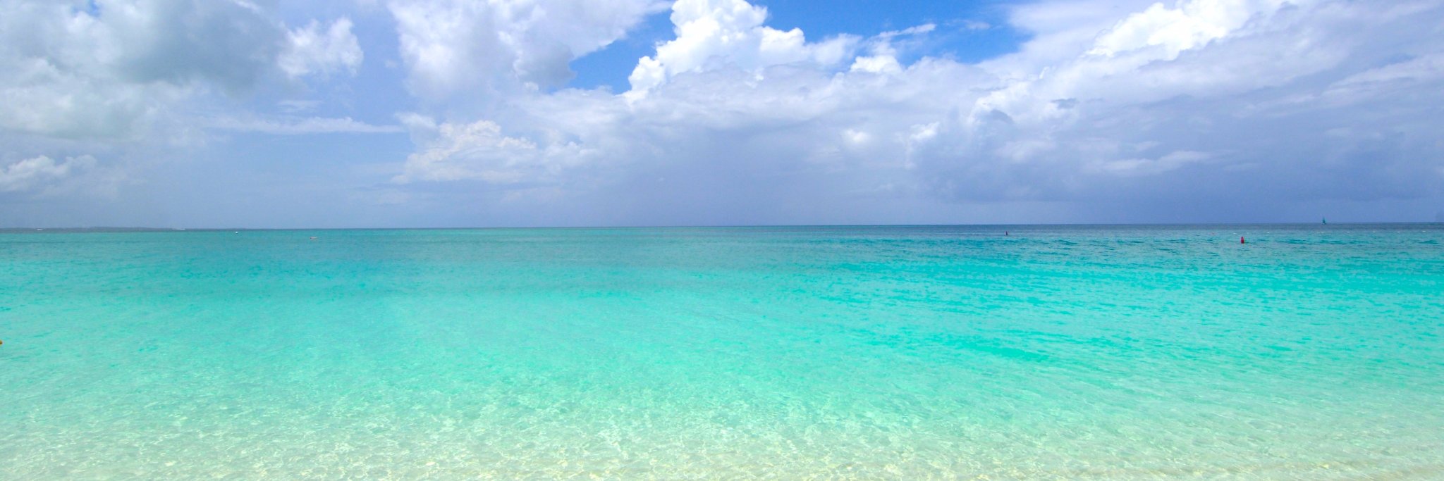 Casey banner