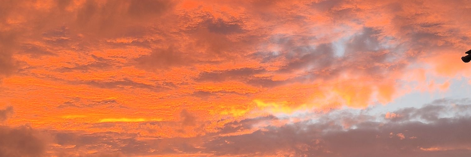 PM_Ellis1's profile banner image