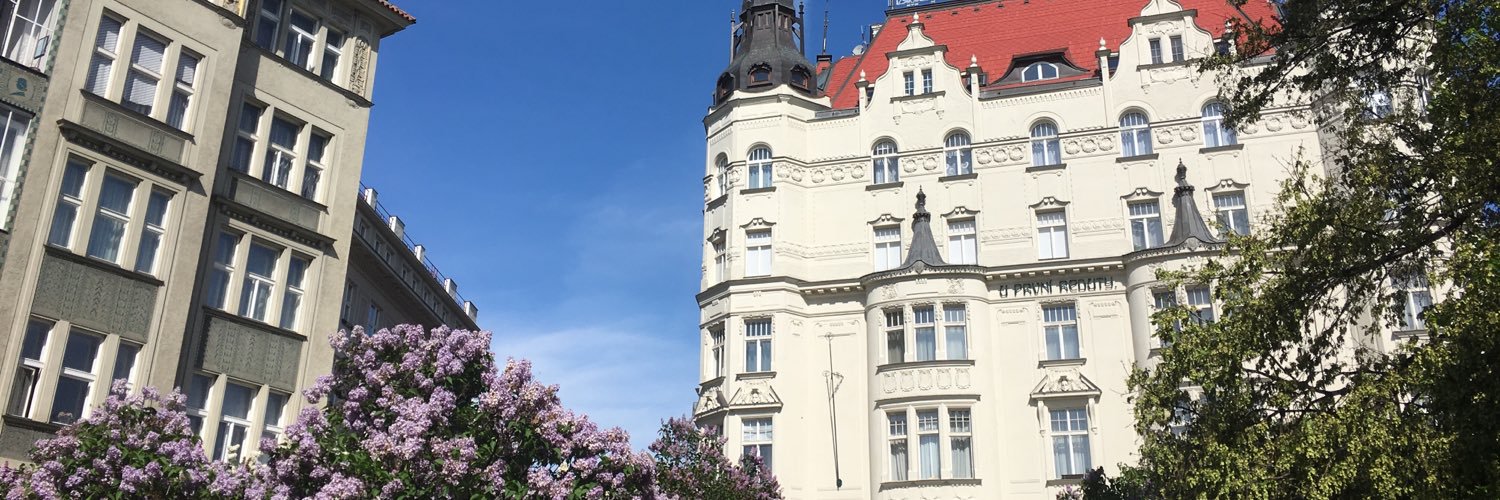 Annesti banner