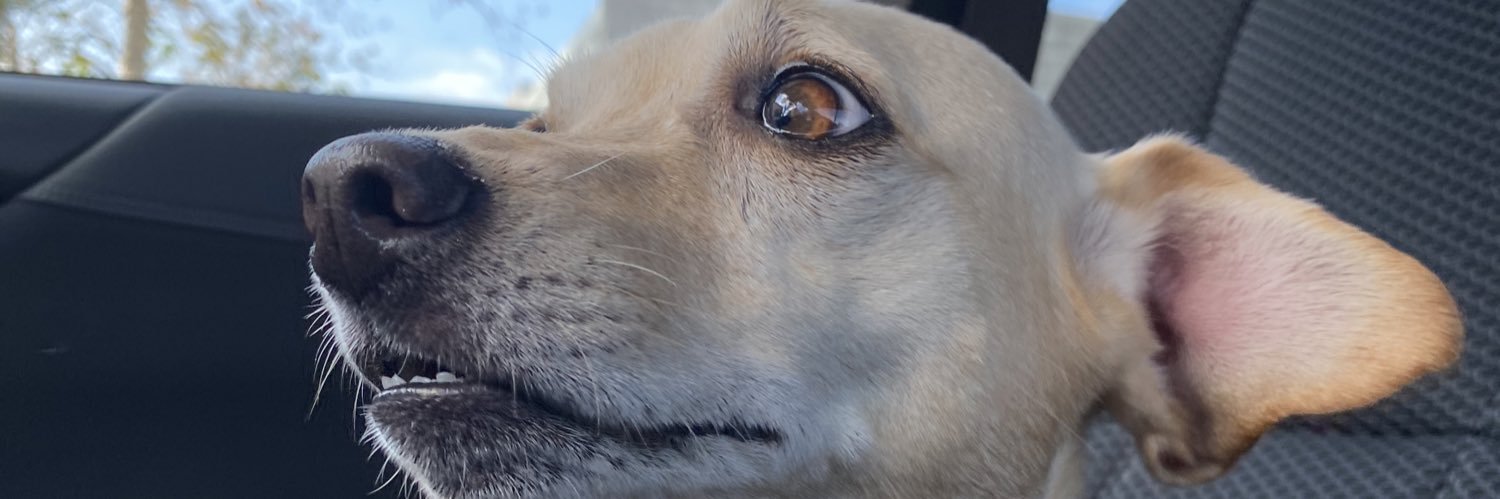 bittyrae66's profile banner image