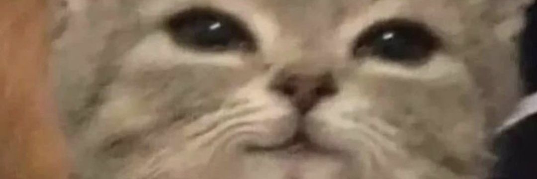 limilewd's profile banner image
