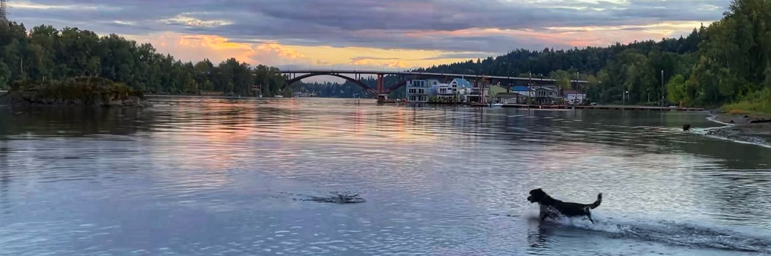 Anja Brandon, PhD banner