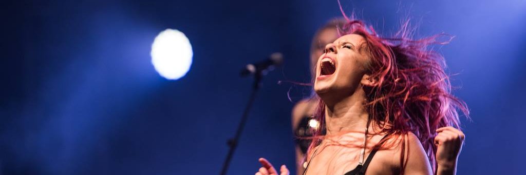 LucilaMCP's profile banner image