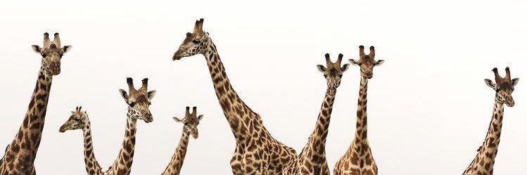 EddCetzal's profile banner image