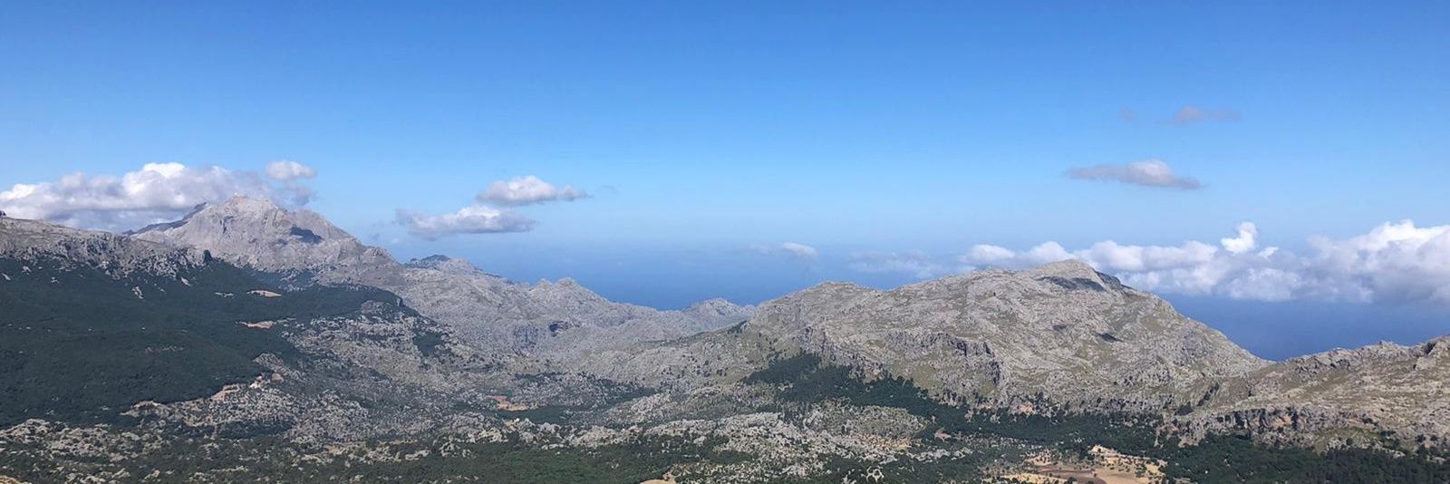 Pep Bennasar Pons banner