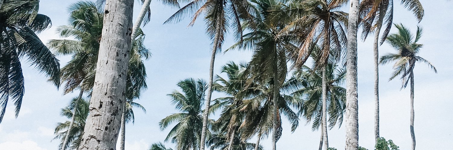 smilehahn's profile banner image