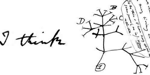 🇪🇺Drew🤔💙💛🌻🌻🇬🇧 banner