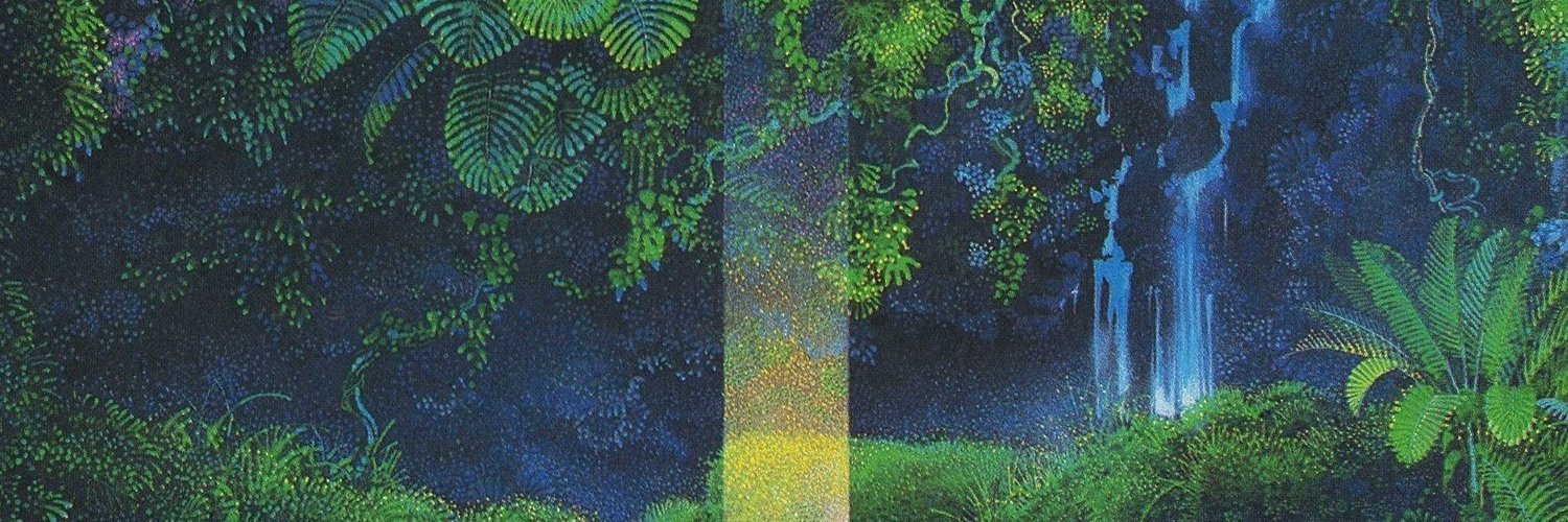 LiMéRA 🏴‍☠️ 🐦‍⬛ banner