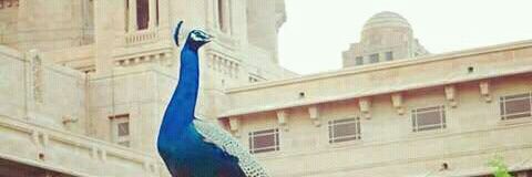 BhiyaSoni's profile banner image