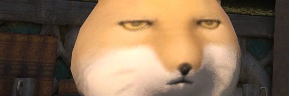 IUsedToPlayCOD's profile banner image