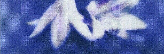 yoonhyeki's profile banner image