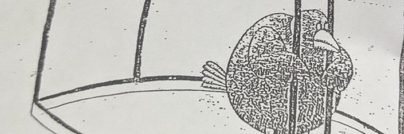 sometimes called sticks banner