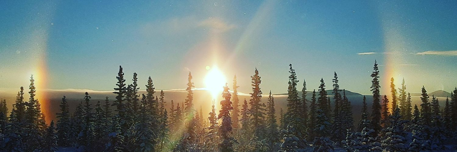 🌞 Joe 🌝 banner