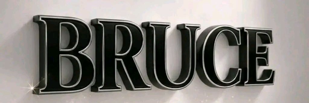𝑩𝒓𝒖𝒄𝒆 𝑵𝑰𝑷𝑶 banner