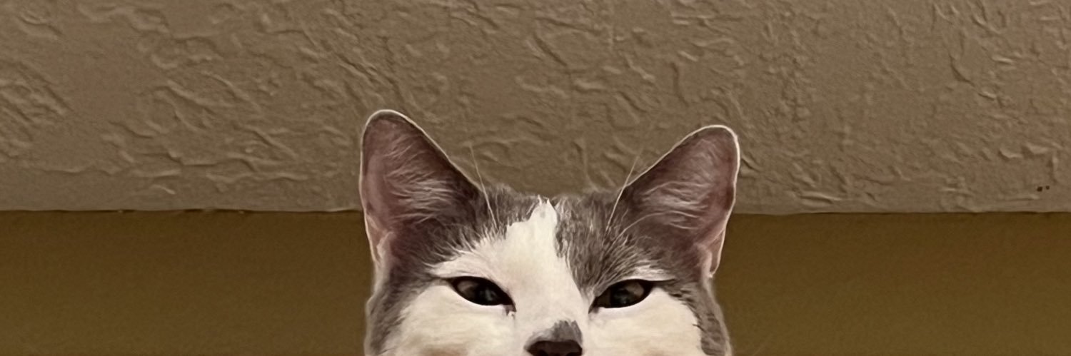 collinzzz_'s profile banner image
