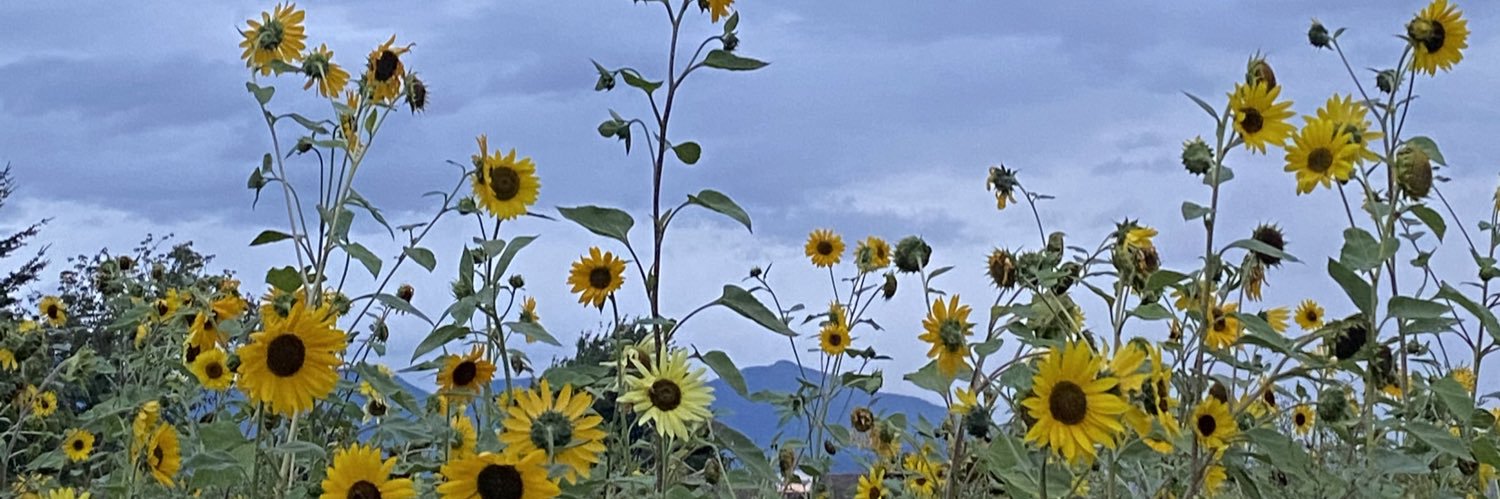 srhphl's profile banner image