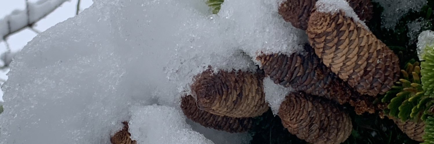 Goggen fra ØstBloggen banner