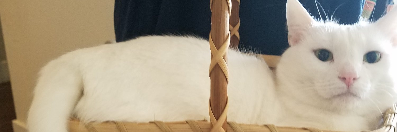 LevyLandTV's profile banner image