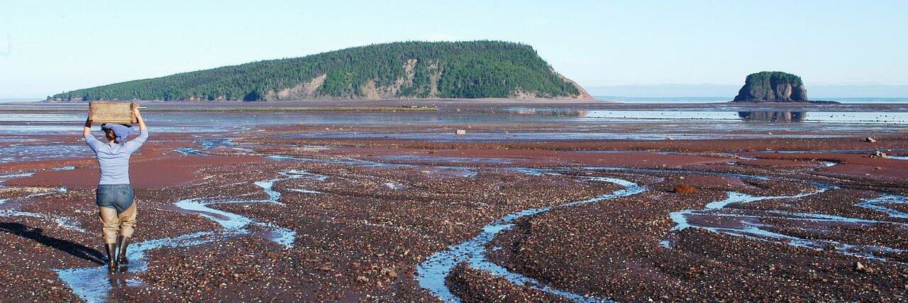 Acadia Coastal Ecology banner