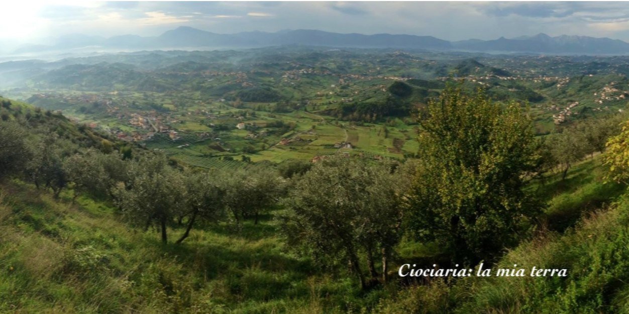 AMTedeschi's profile banner image