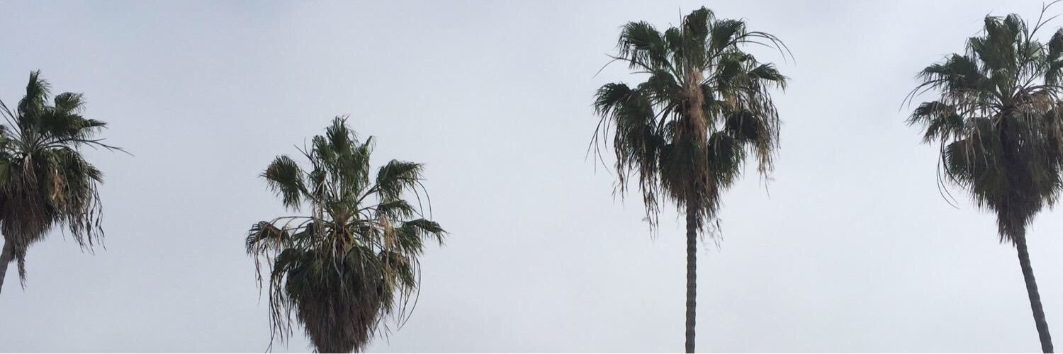 Duchess of Dutch Bros 👸🏻 banner