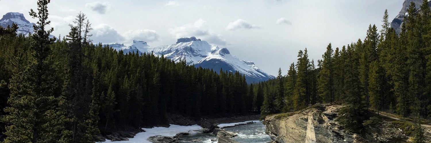 Hugo Nogueira banner