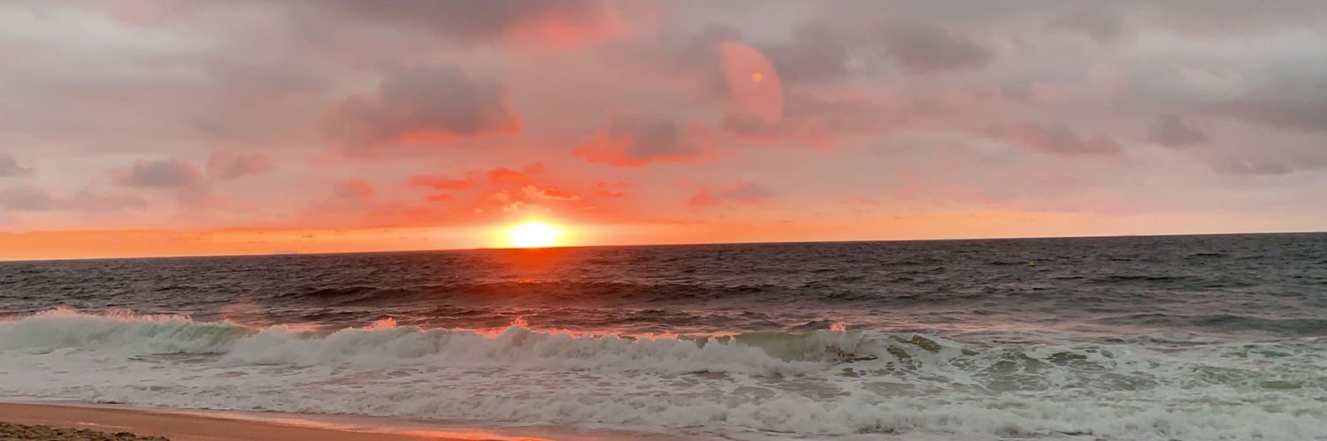 _melyrose's profile banner image