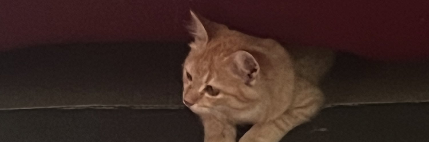 thisisnotain's profile banner image